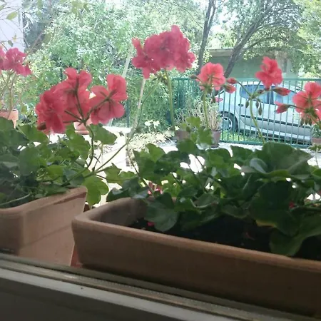 Apartamento Ruzica *