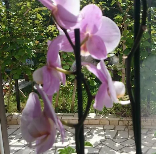 Apartmán Ruzica Pula