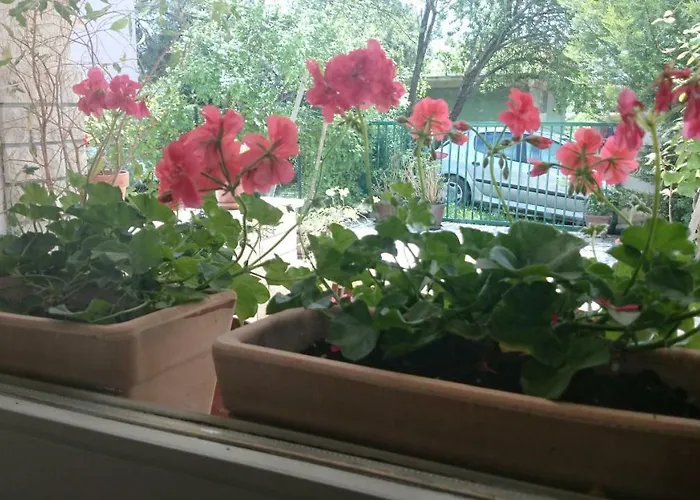 Apartmán Ruzica *